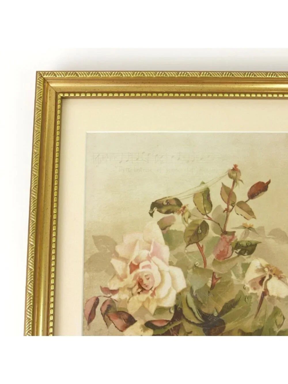 Antique 1889 Louis Prang Chromolithograph Pink Roses Ellen Thayer Fisher Framed